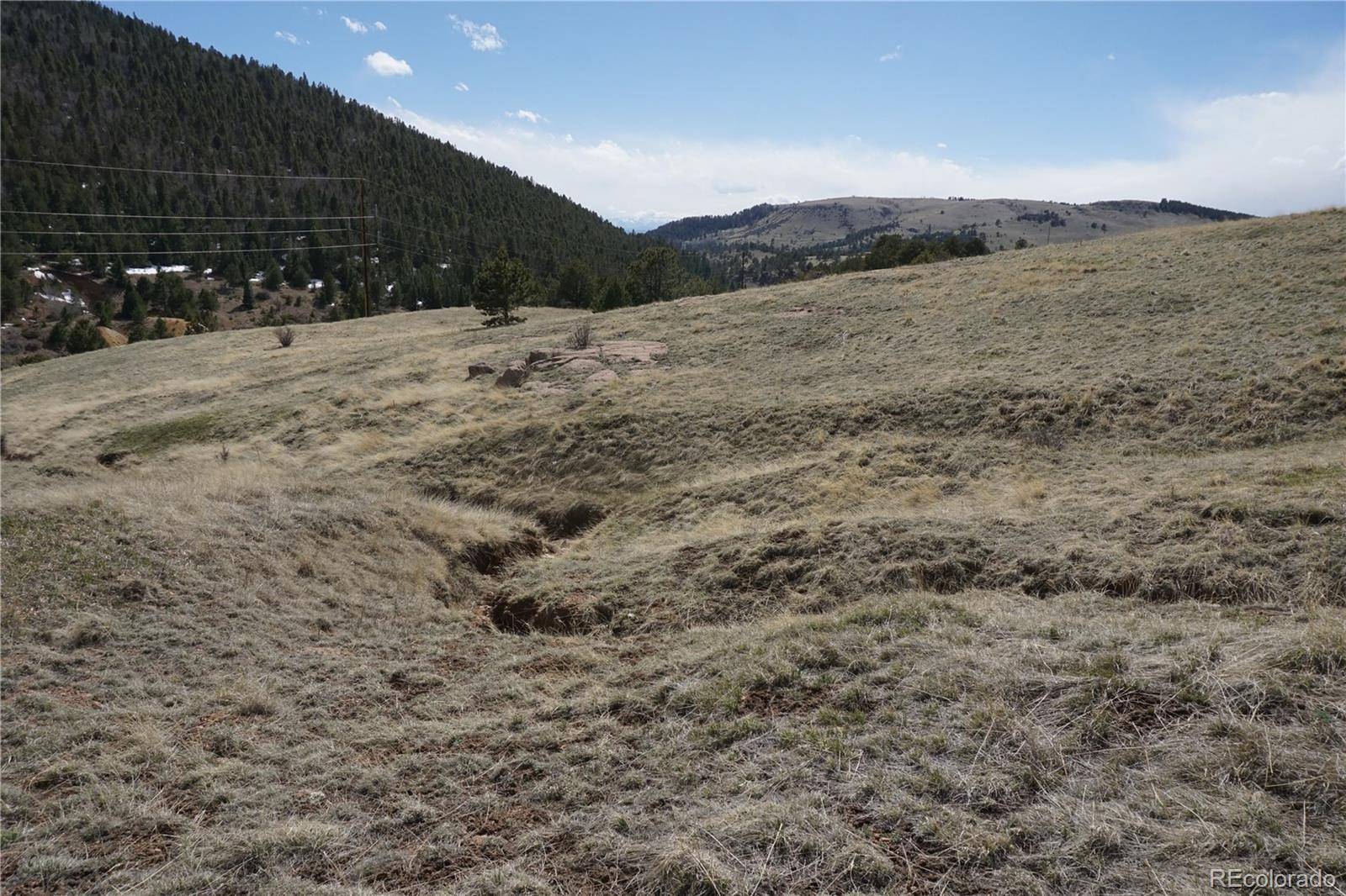 Cripple Creek, CO 80813,Vacant Land