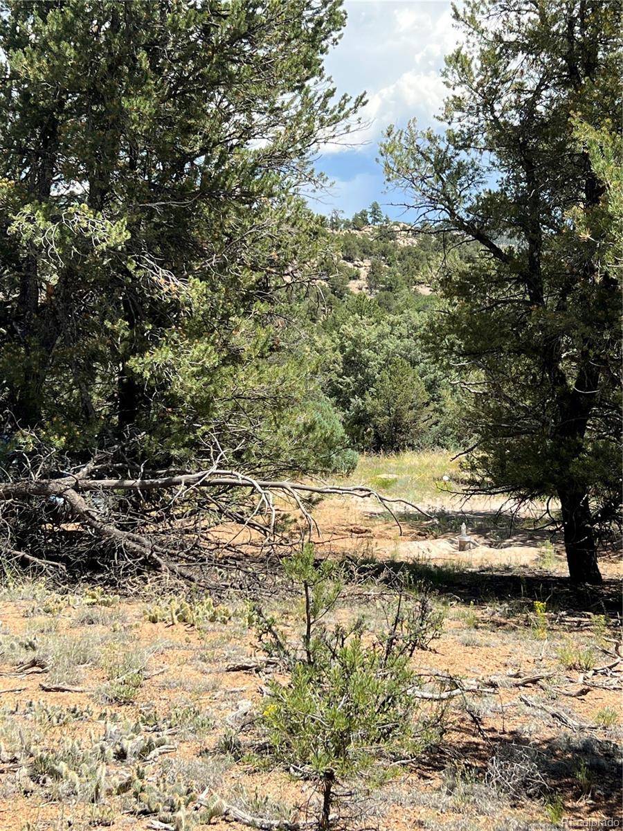 Cotopaxi, CO 81223,216 West View RD