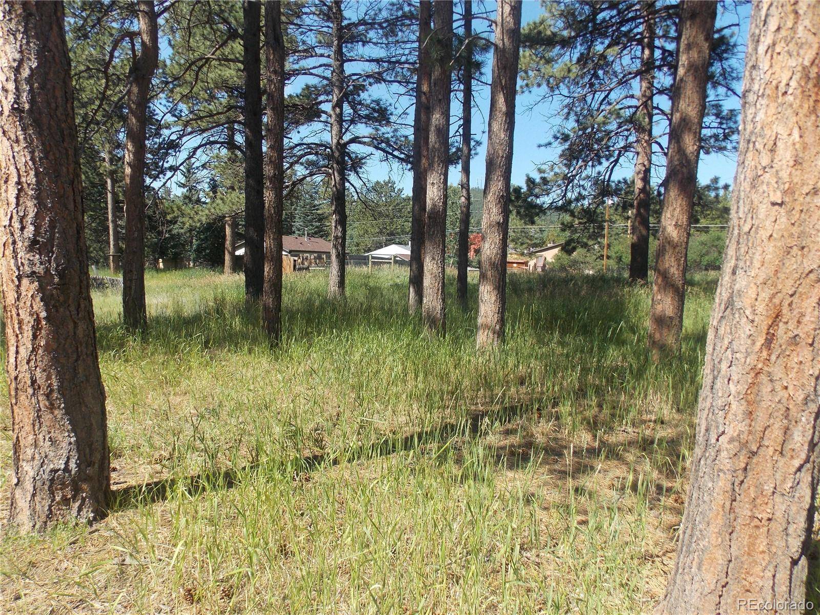 Woodland Park, CO 80863,L6B2 Fairview ST