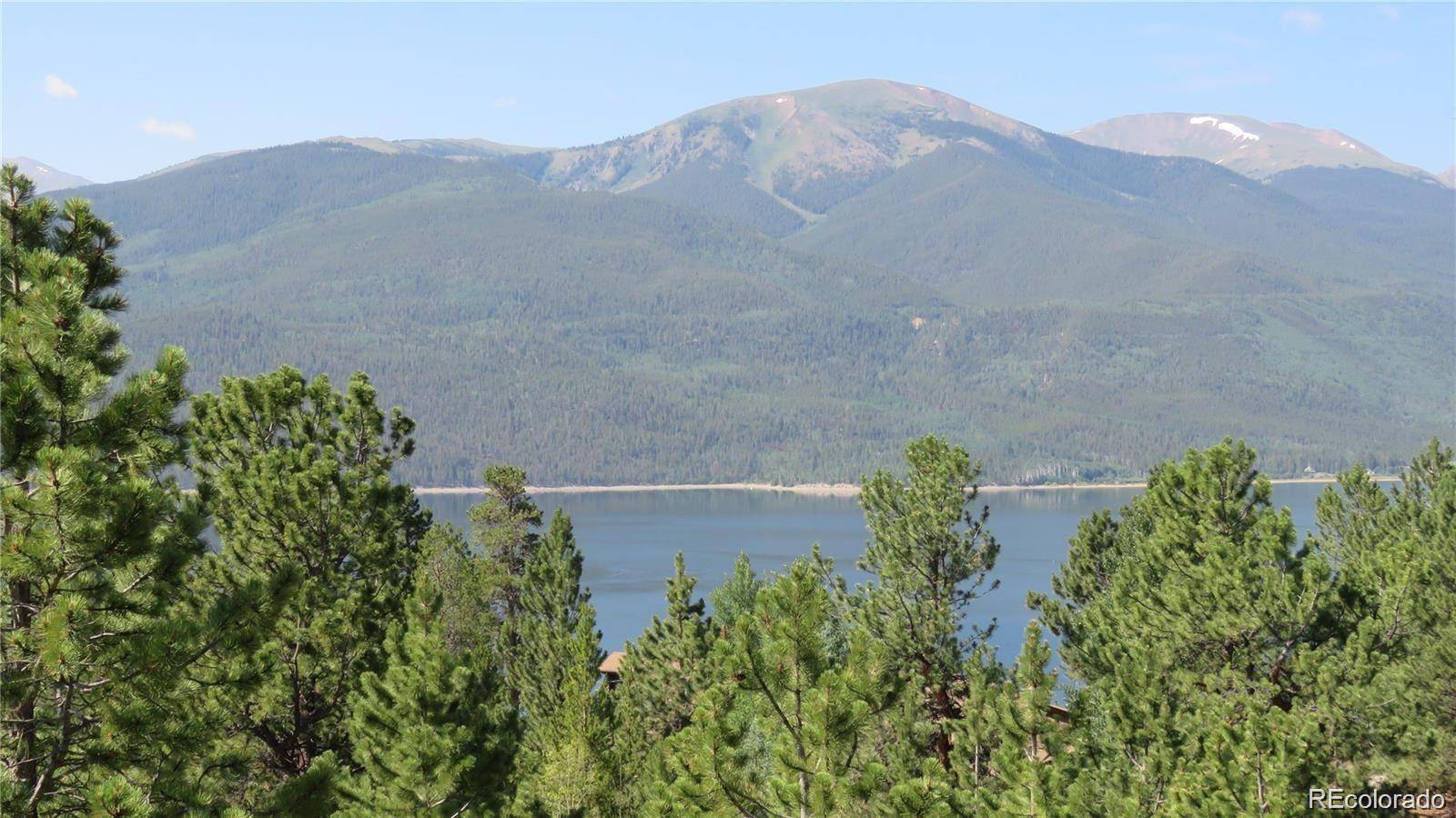 Twin Lakes, CO 81251,179 Twin Peaks DR