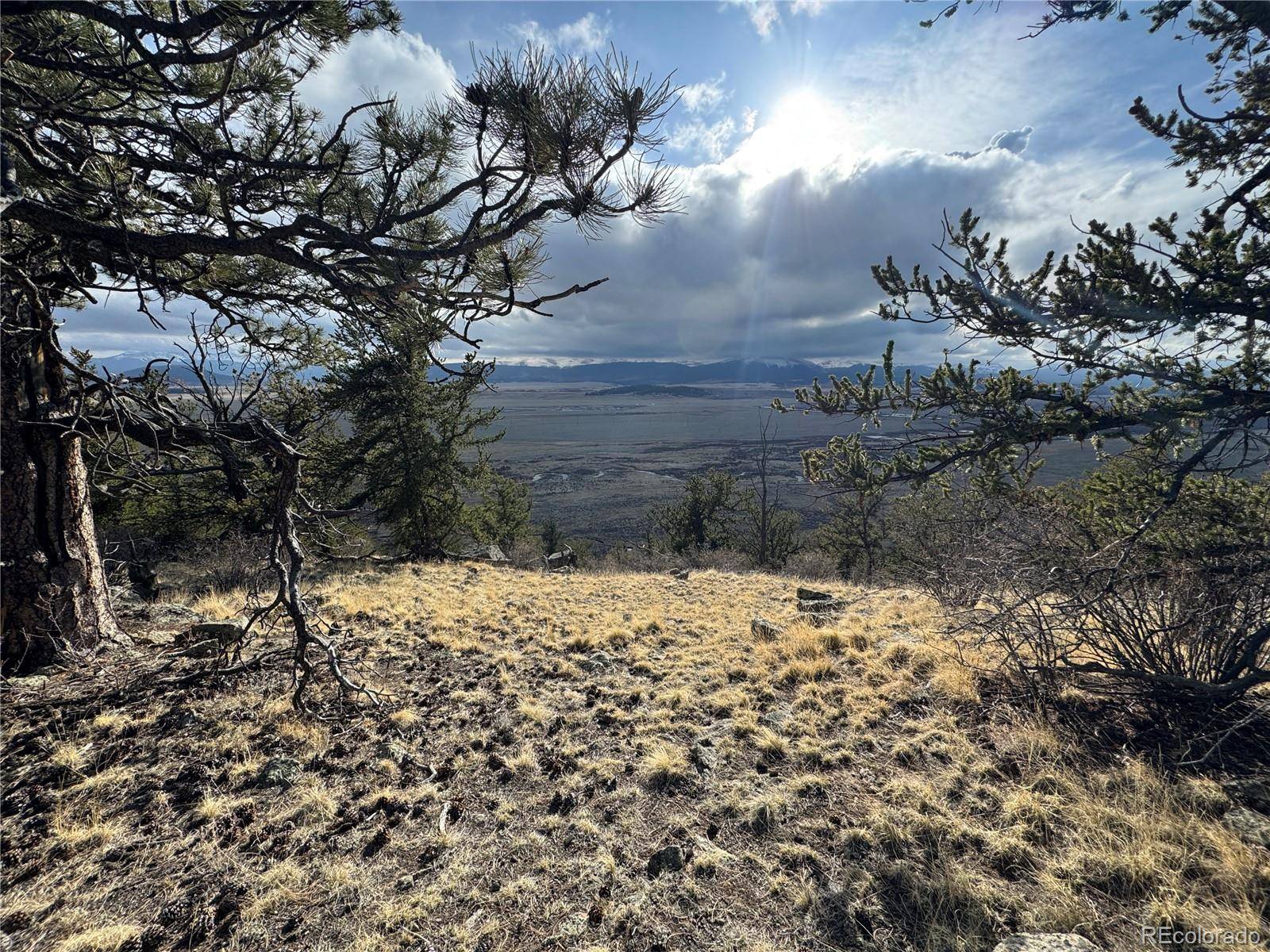 Fairplay, CO 80440,4513 Middle Fork VIS