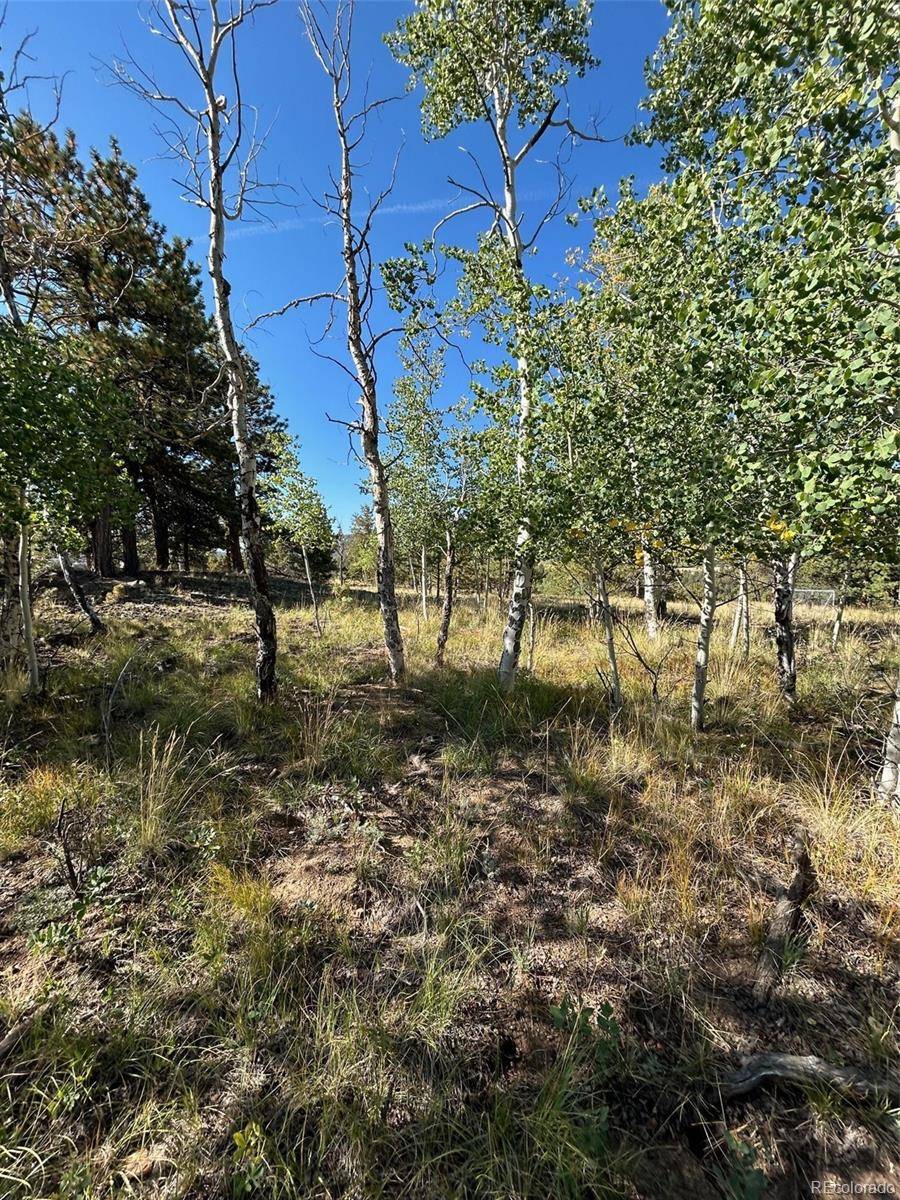 Hartsel, CO 80449,3078 Singletree RD