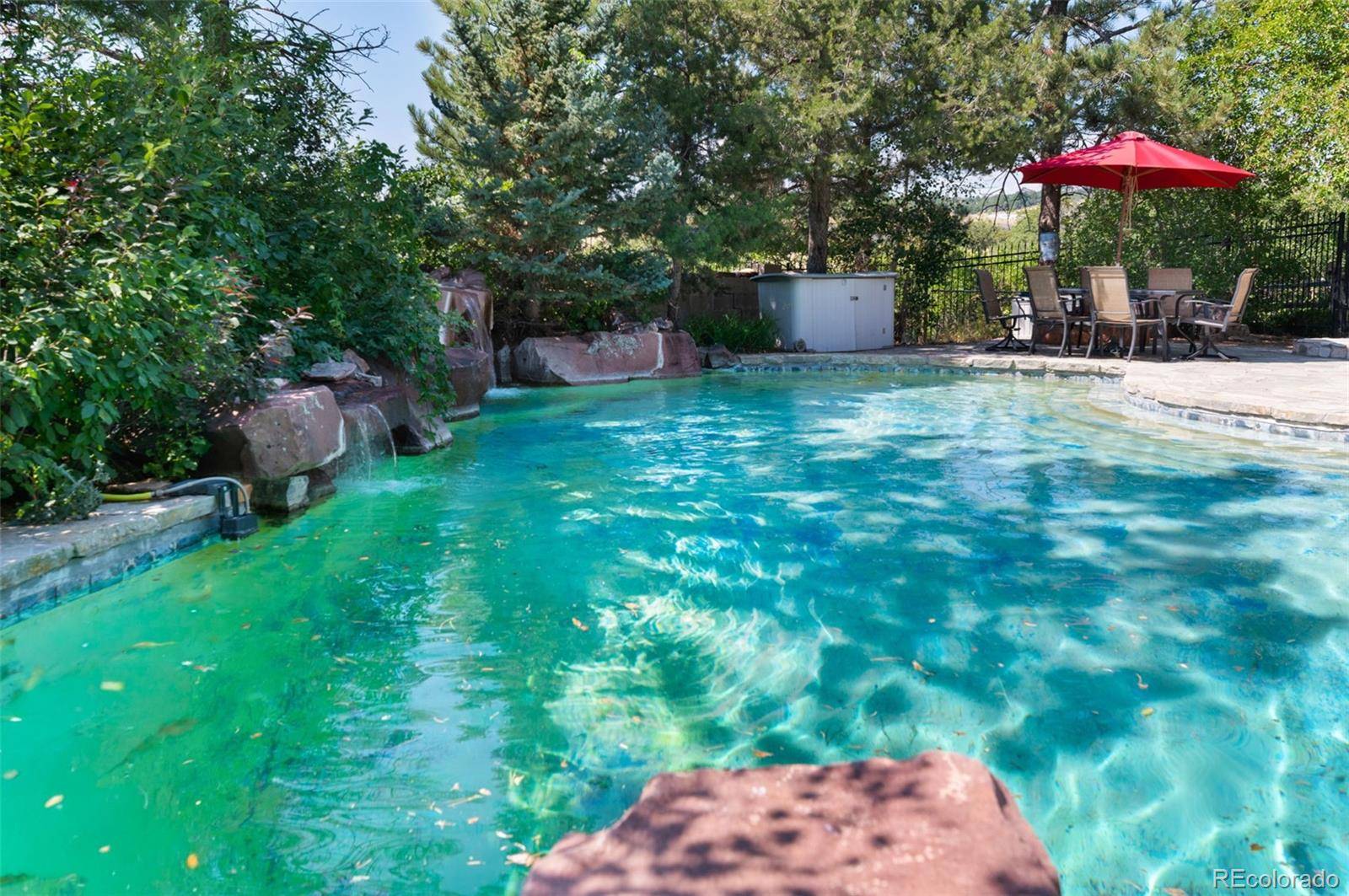 Castle Rock, CO 80109,1463 Clarkes CIR