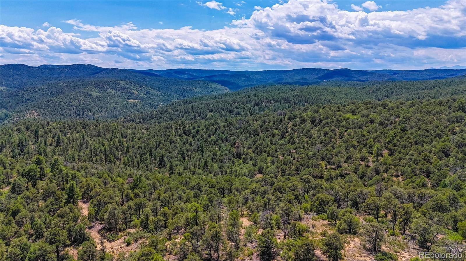Trinidad, CO 81082,31300 Timber Canyon RD