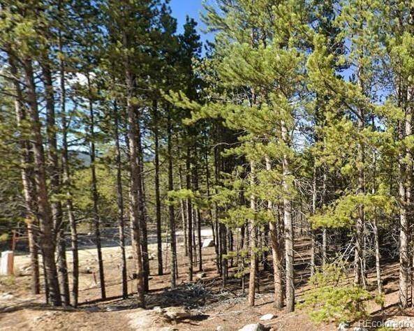 Leadville, CO 80461,455 Lodgepole DR