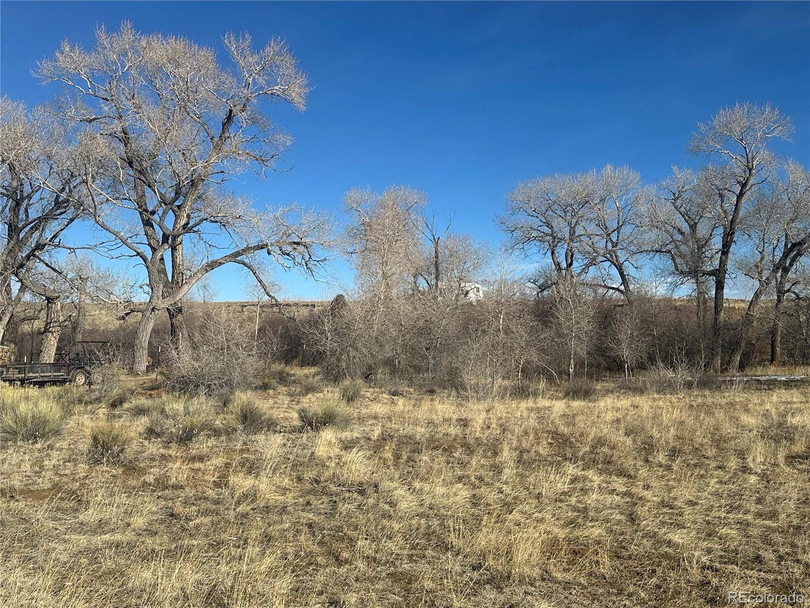 La Jara, CO 81151,251 Alamosa River LN