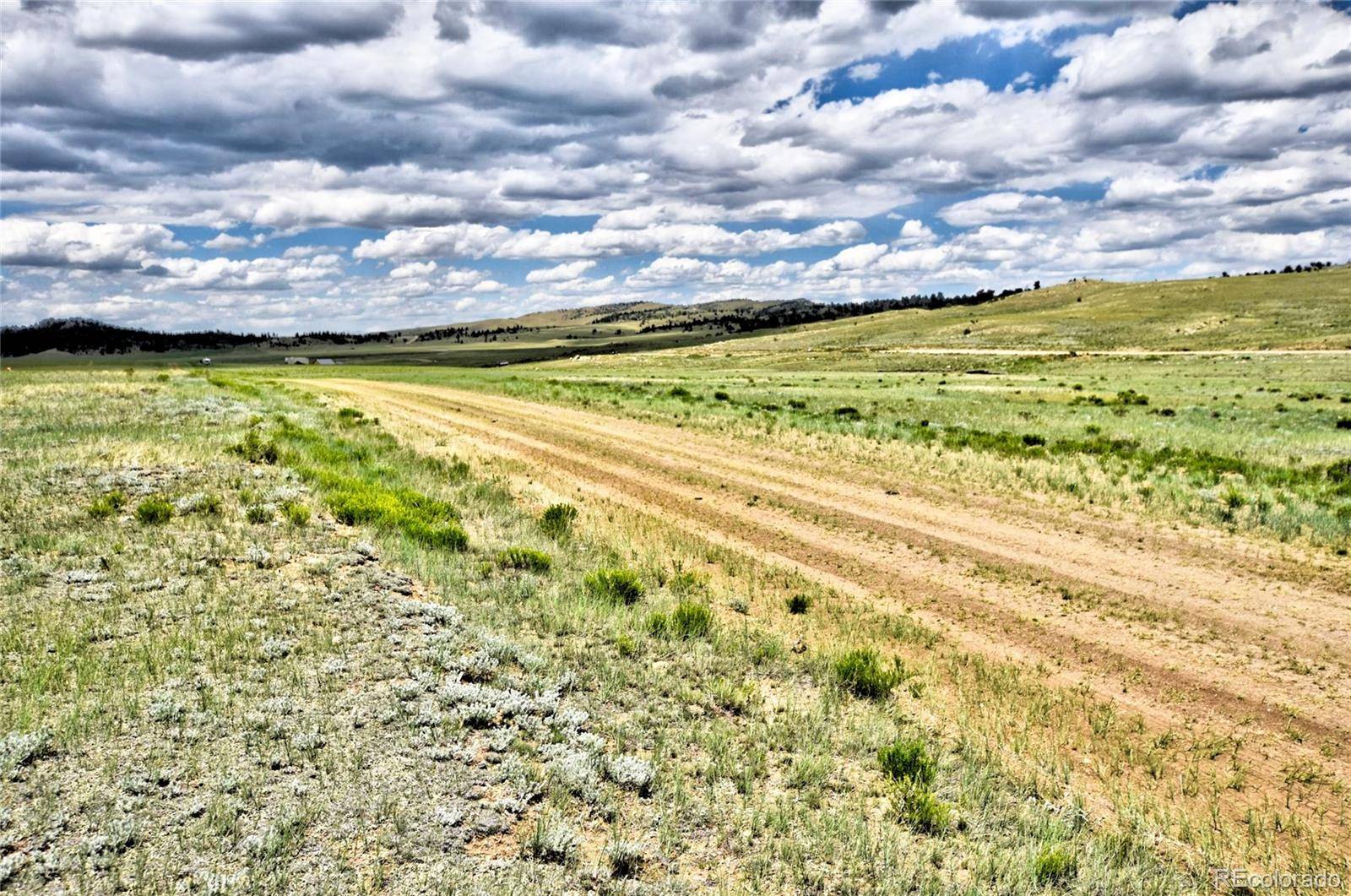Hartsel, CO 80449,000 Black Hawk RD