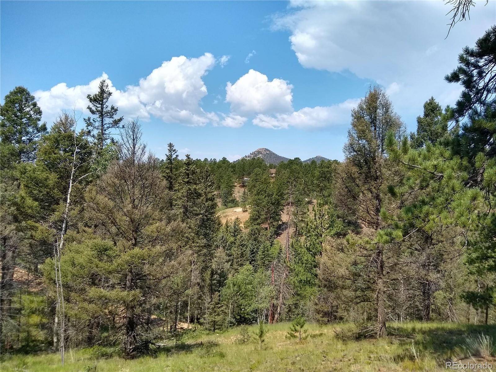 Florissant, CO 80816,638 W Bison Creek TRL