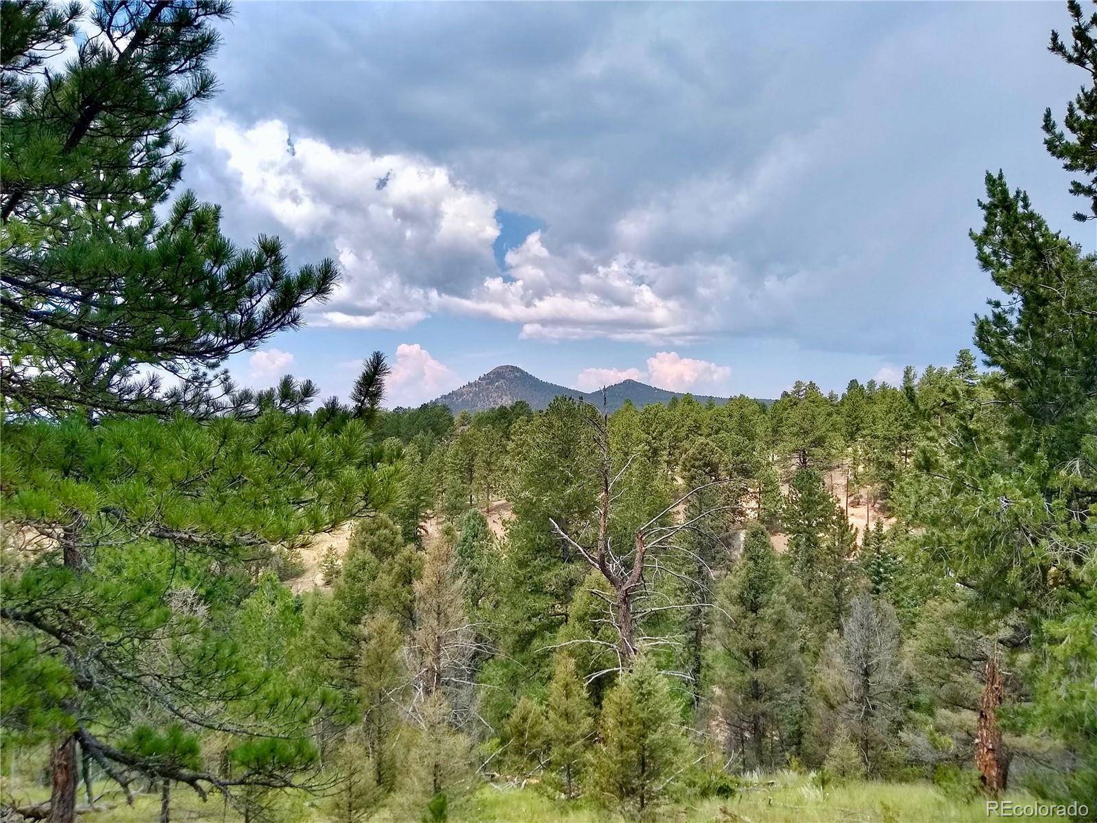 Florissant, CO 80816,638 W Bison Creek TRL