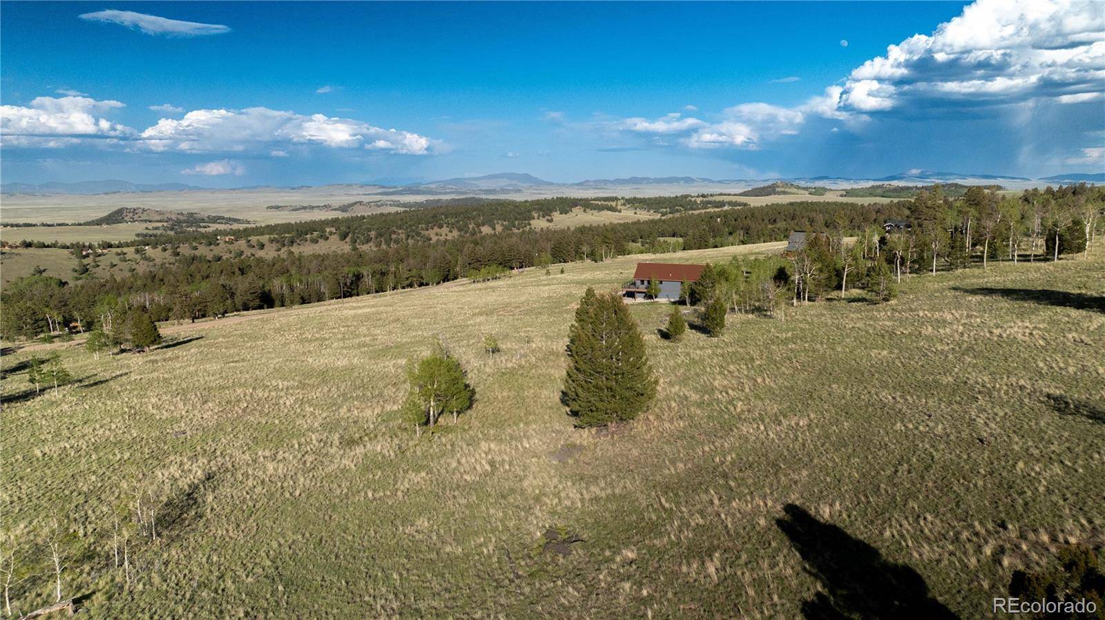 Hartsel, CO 80449,1505 Pitchfork RD