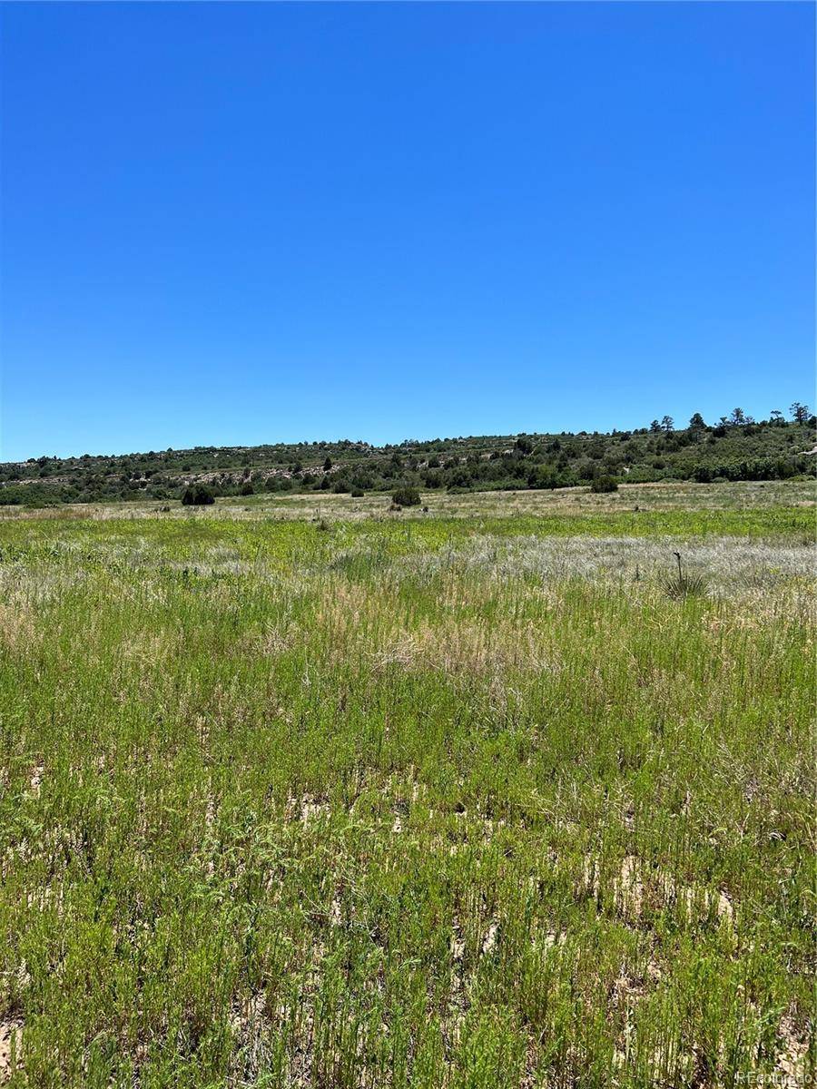 Colorado City, CO 81019,lot 165 Ouray ST