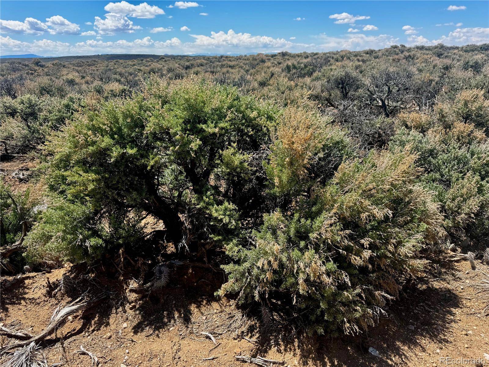 San Luis, CO 81152,lot 3 East Jasper DR