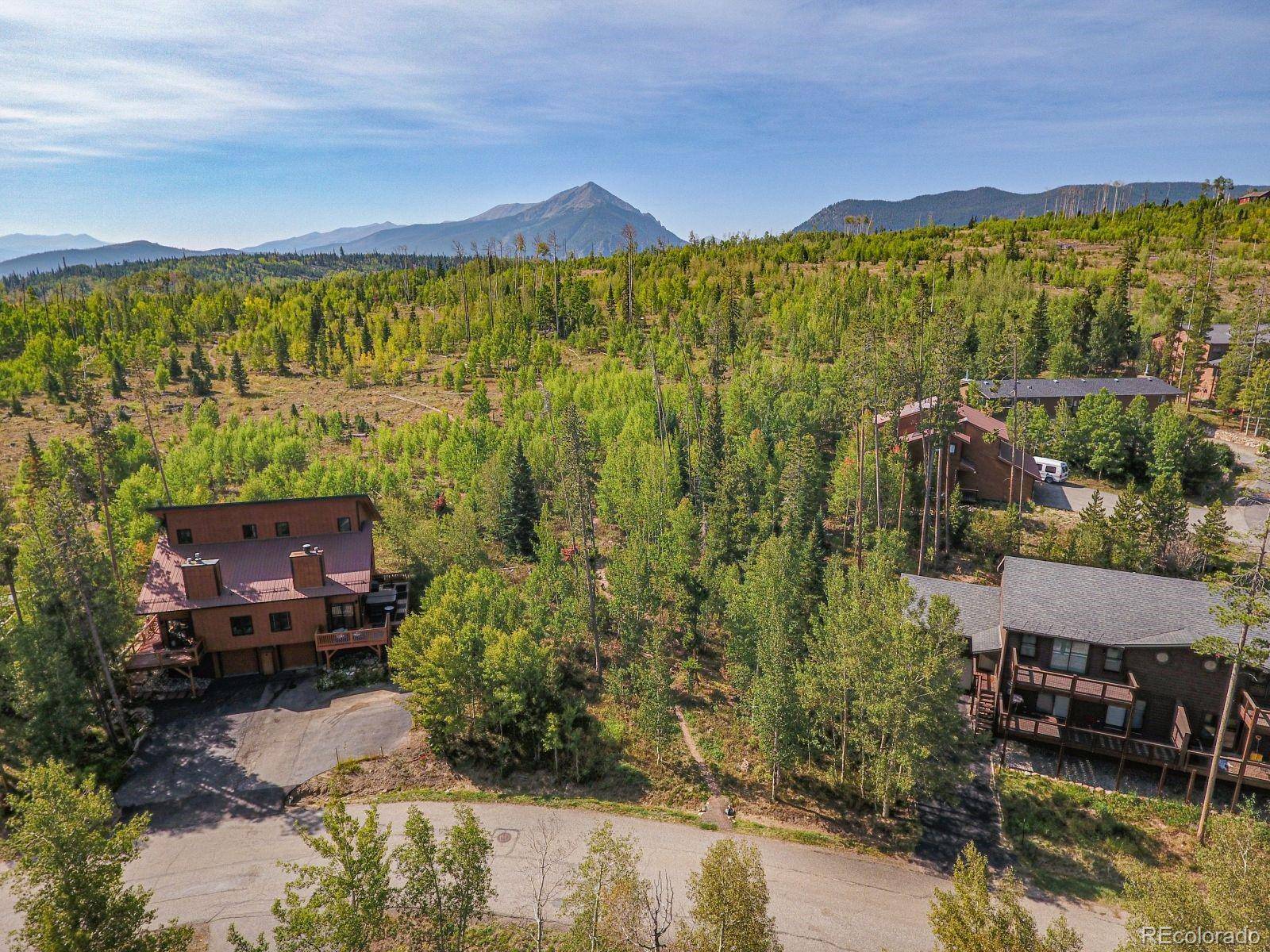 Silverthorne, CO 80498,221 Poplar CIR