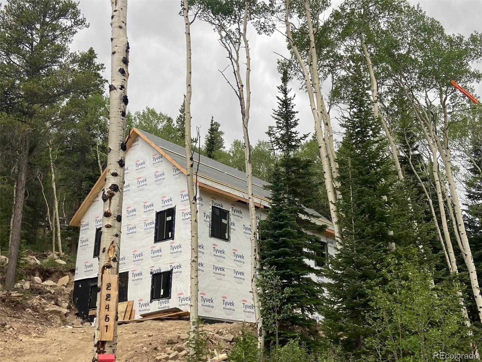 Salida, CO 81201,22451 Jones ST
