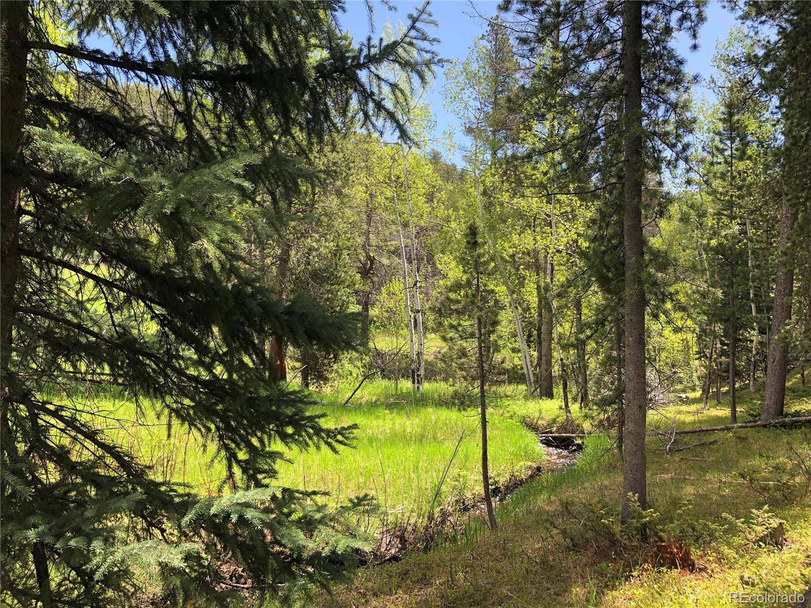 Conifer, CO 80433,Lot 13M Indian Springs Rd