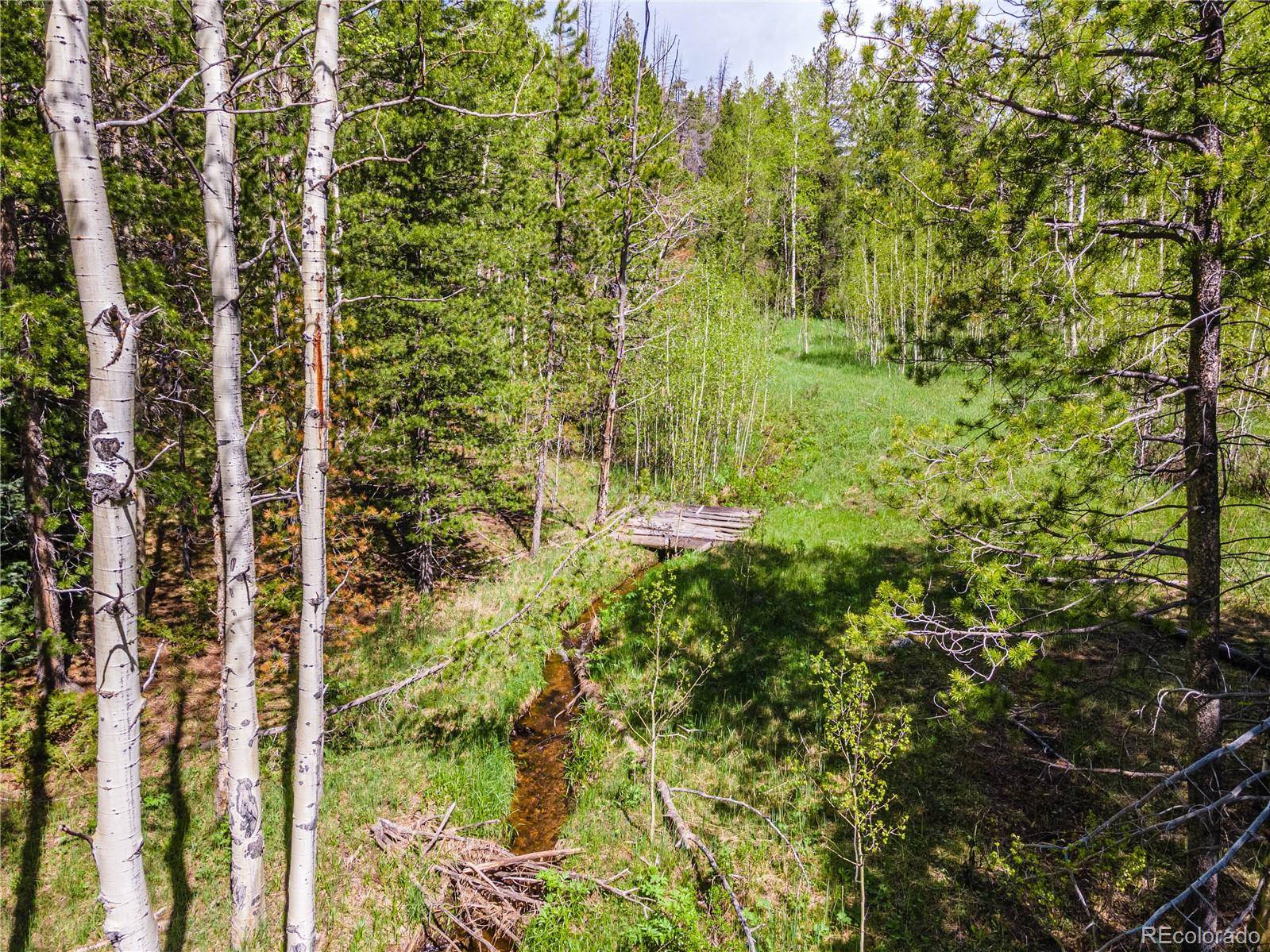 Conifer, CO 80433,Lot 13M Indian Springs Rd