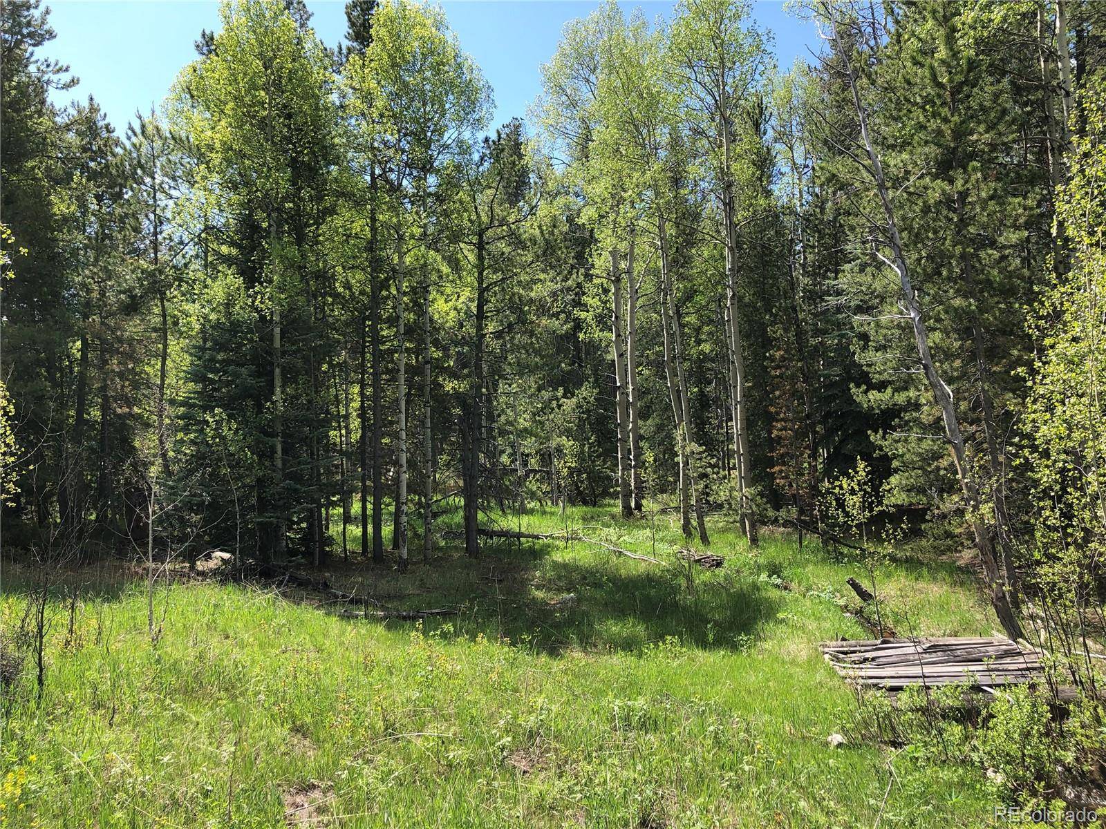 Conifer, CO 80433,Lot 13M Indian Springs Rd