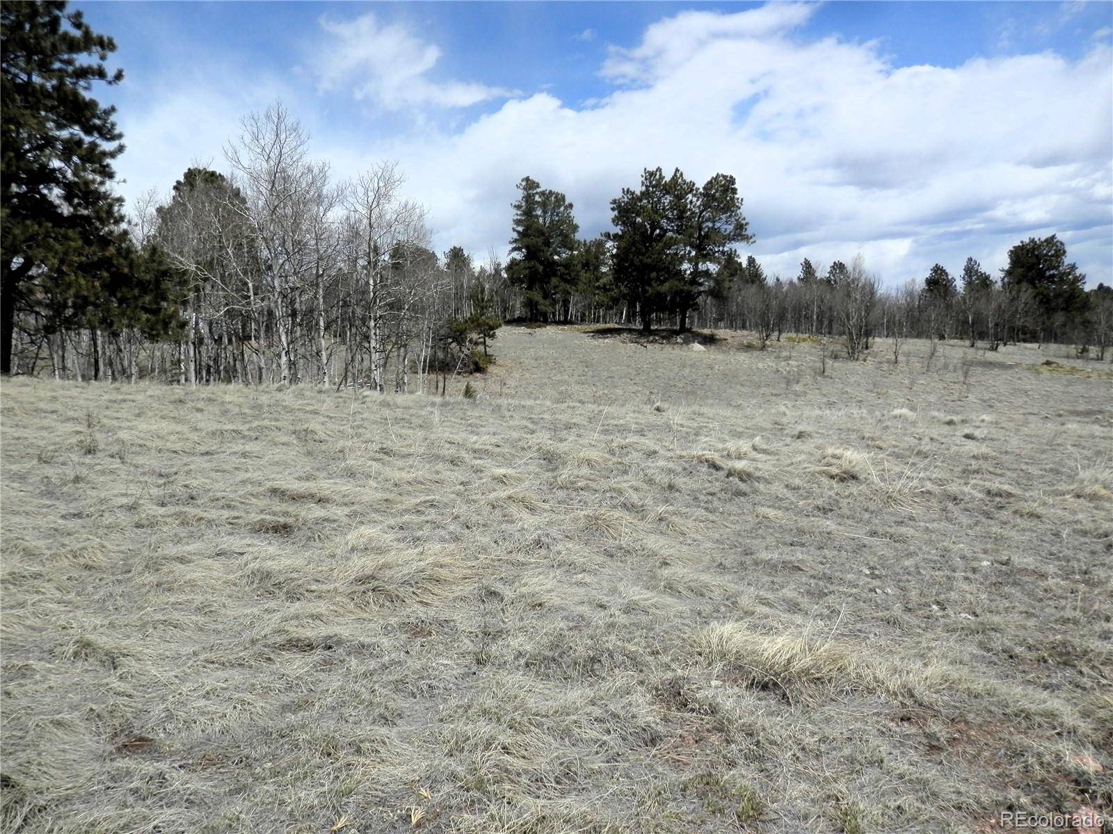 Florissant, CO 80816,47 Hidden Valley DR