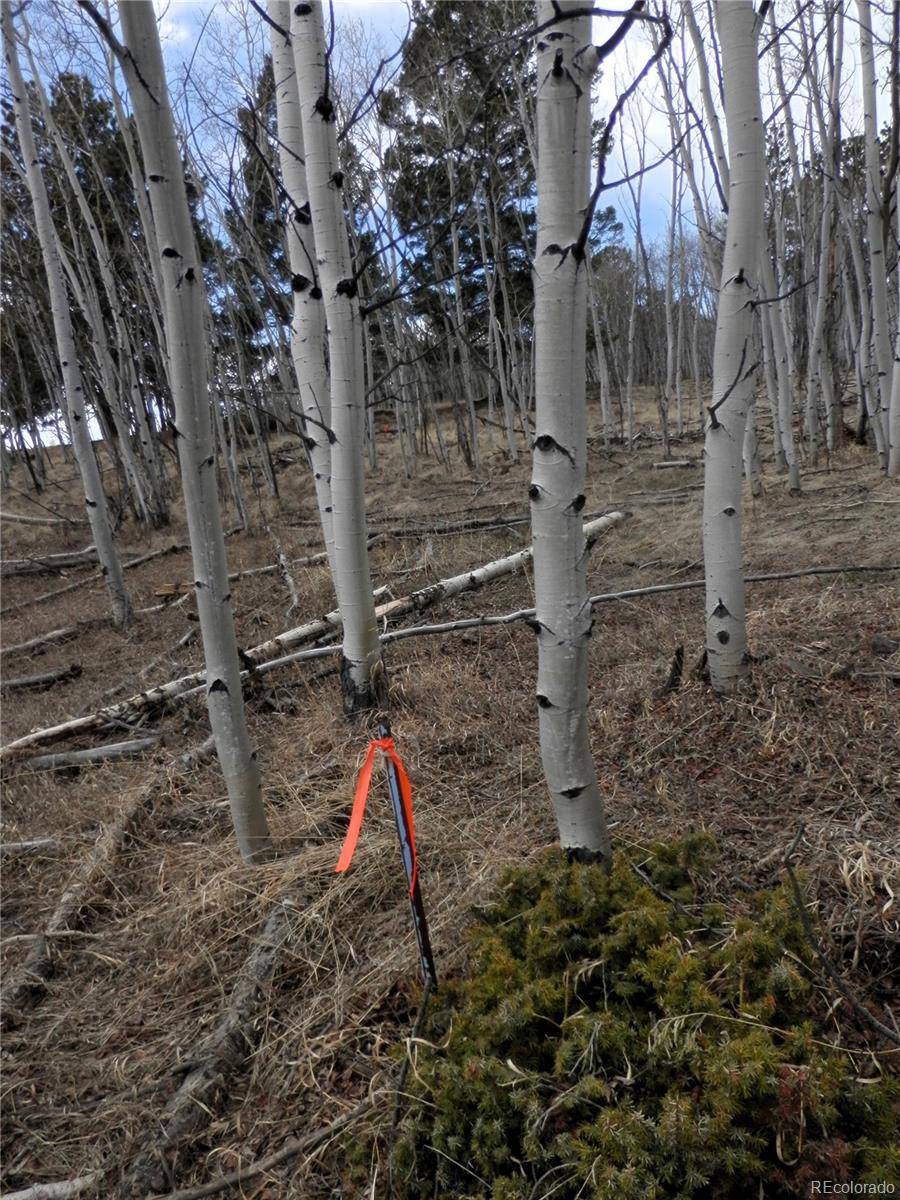 Florissant, CO 80816,47 Hidden Valley DR