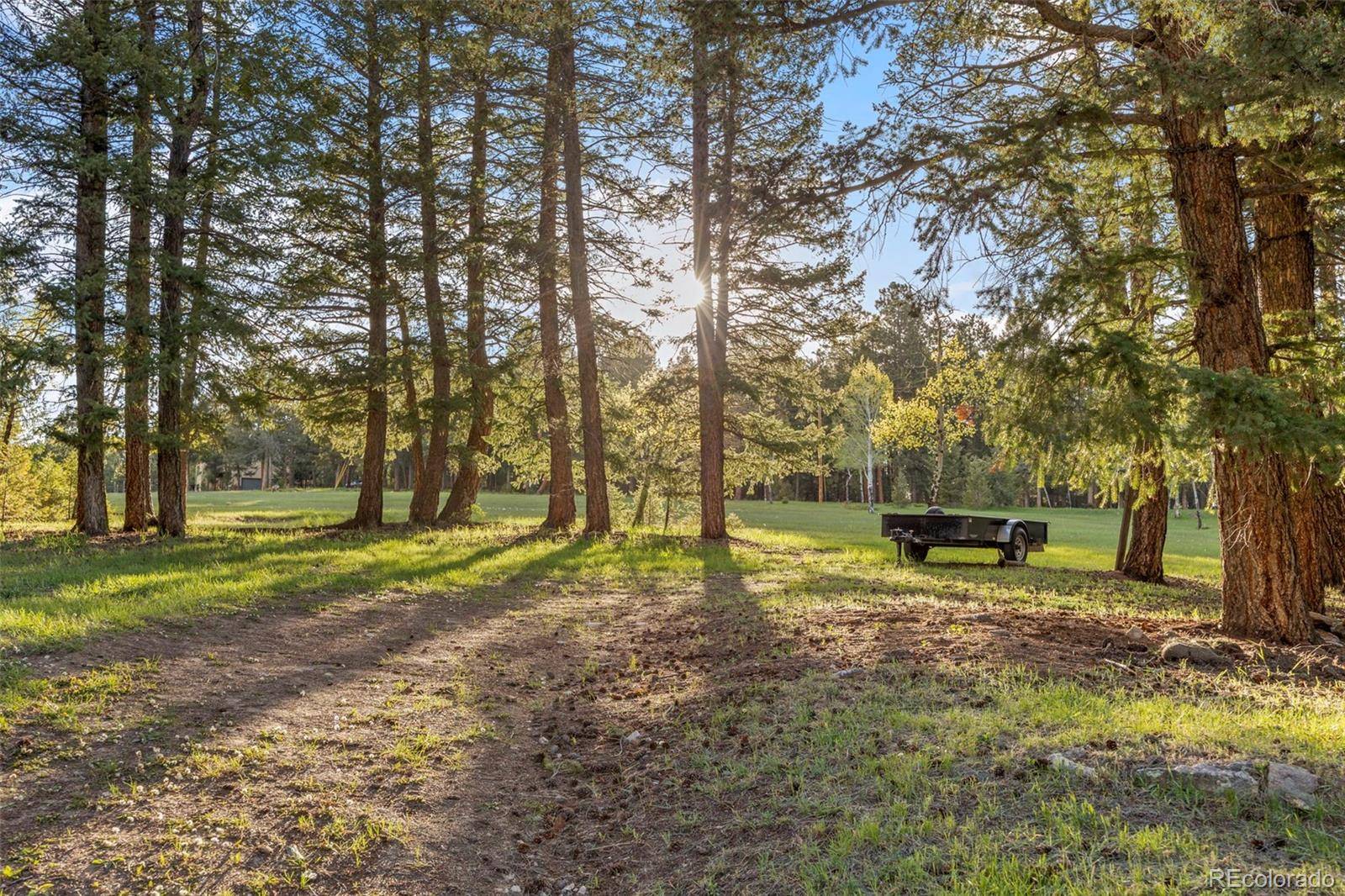 Evergreen, CO 80439,8821 Blue Creek RD