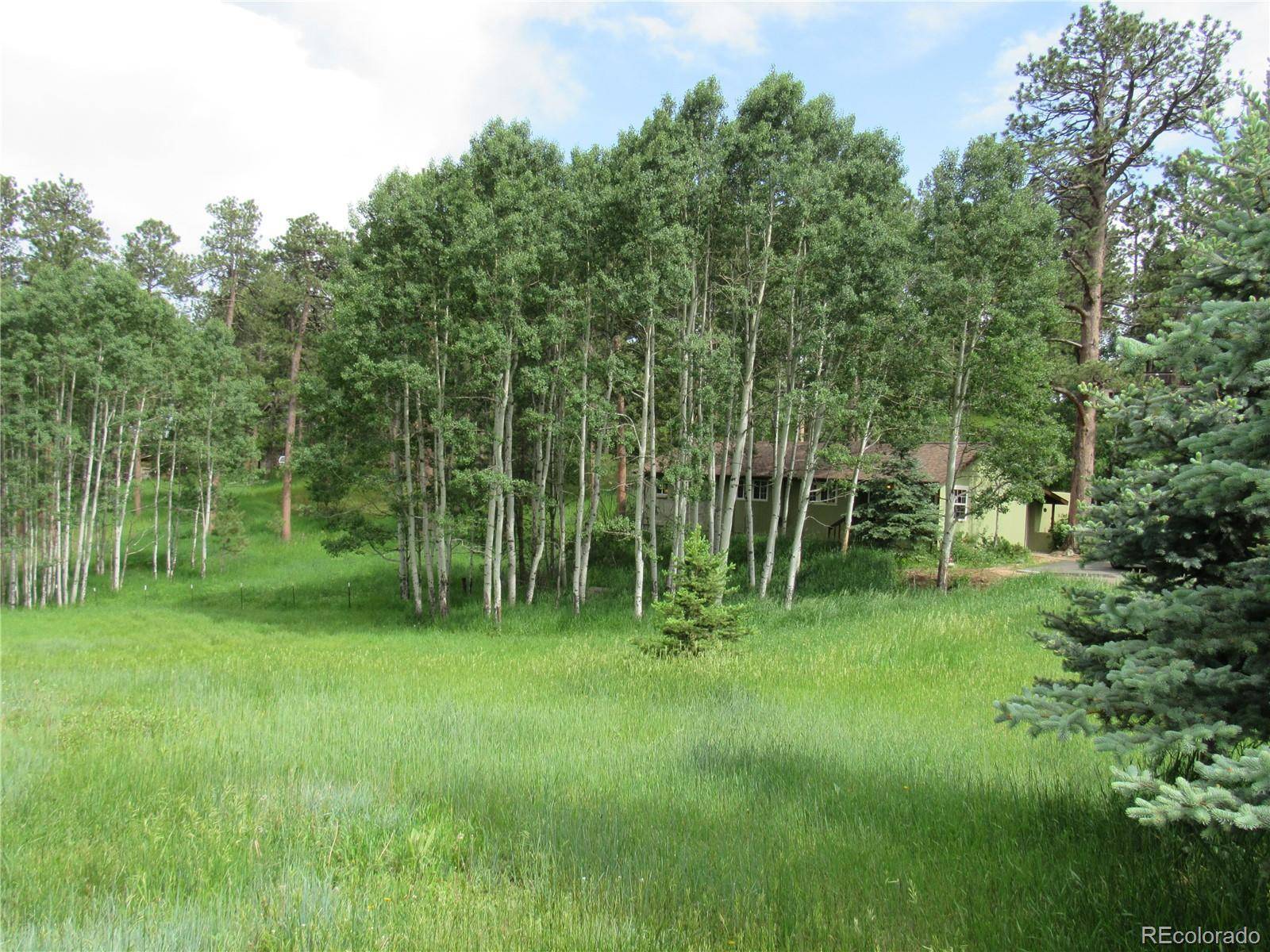 Indian Hills, CO 80454,23136 Kiowa RD