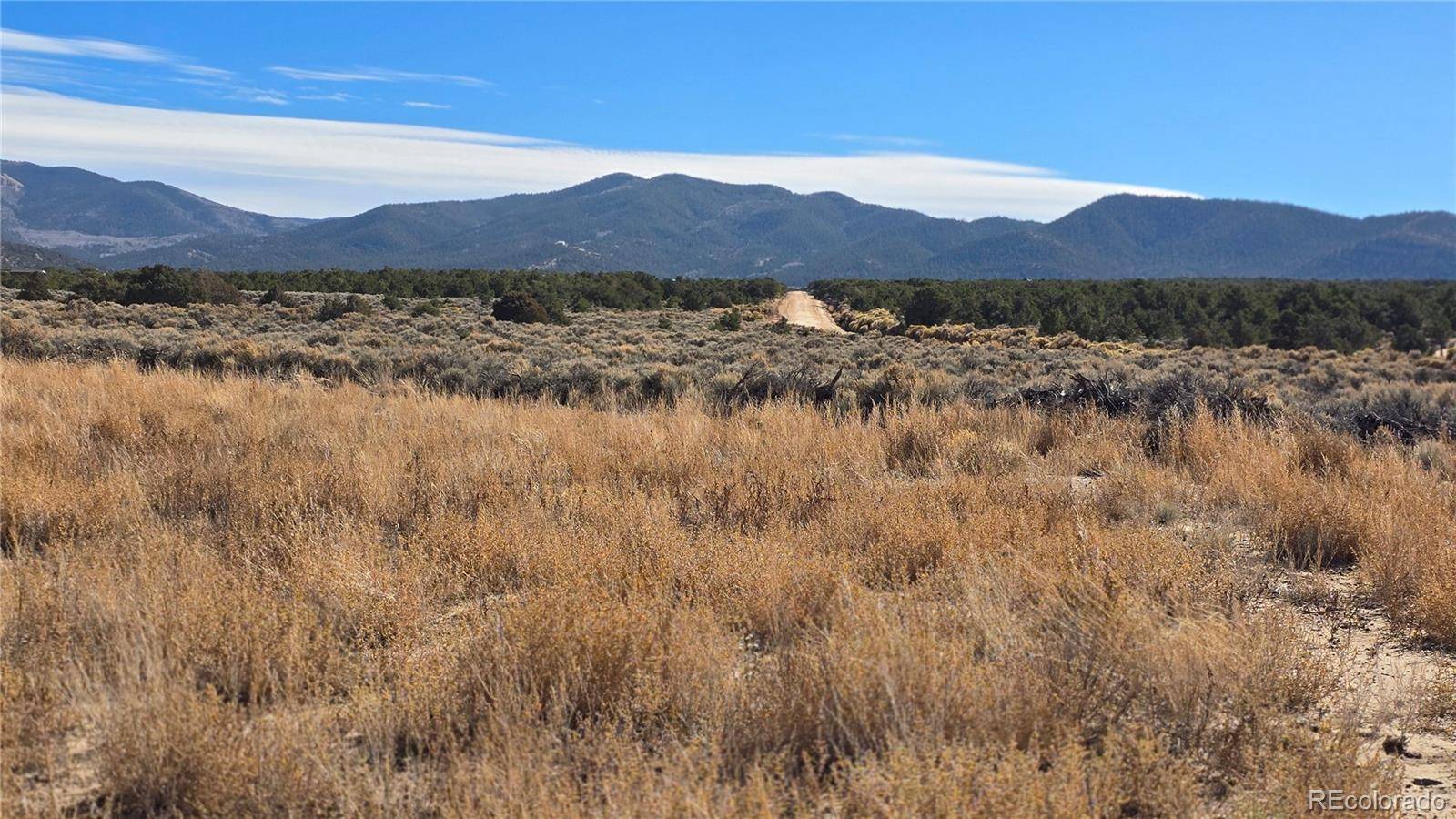 Fort Garland, CO 81133,Lot 1768 Bateman RD