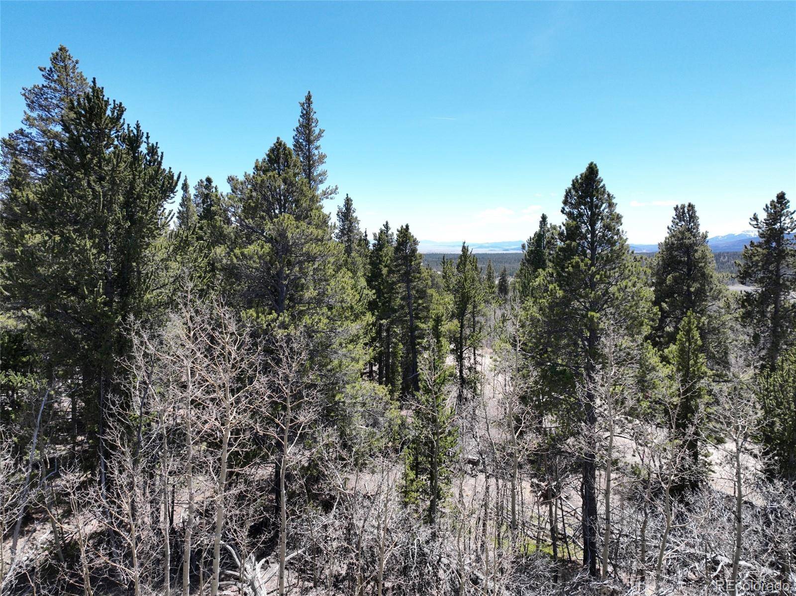 Fairplay, CO 80440,0 Beaver Ridge RD