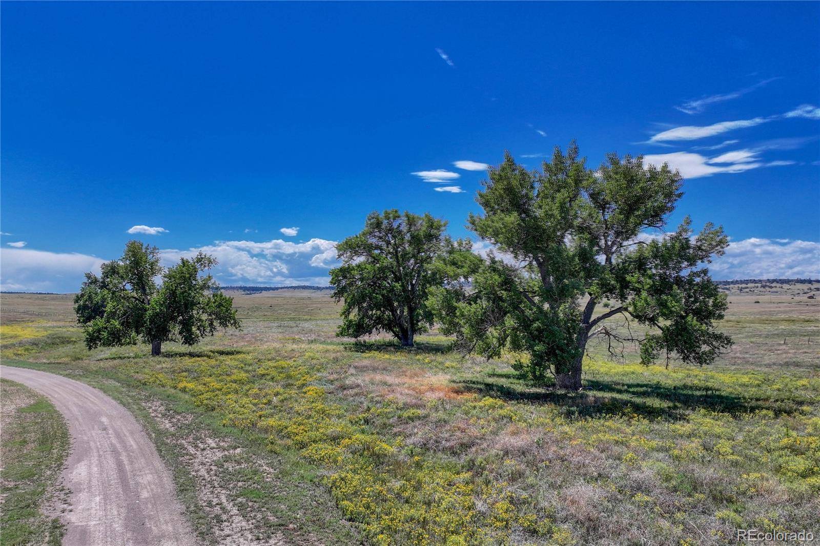 Kiowa, CO 80117,Fiddleback Ranch RD