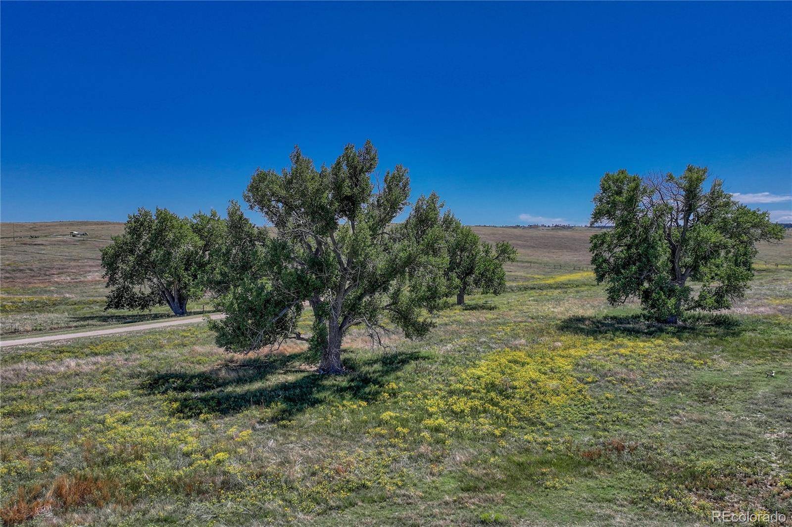 Kiowa, CO 80117,Fiddleback Ranch RD