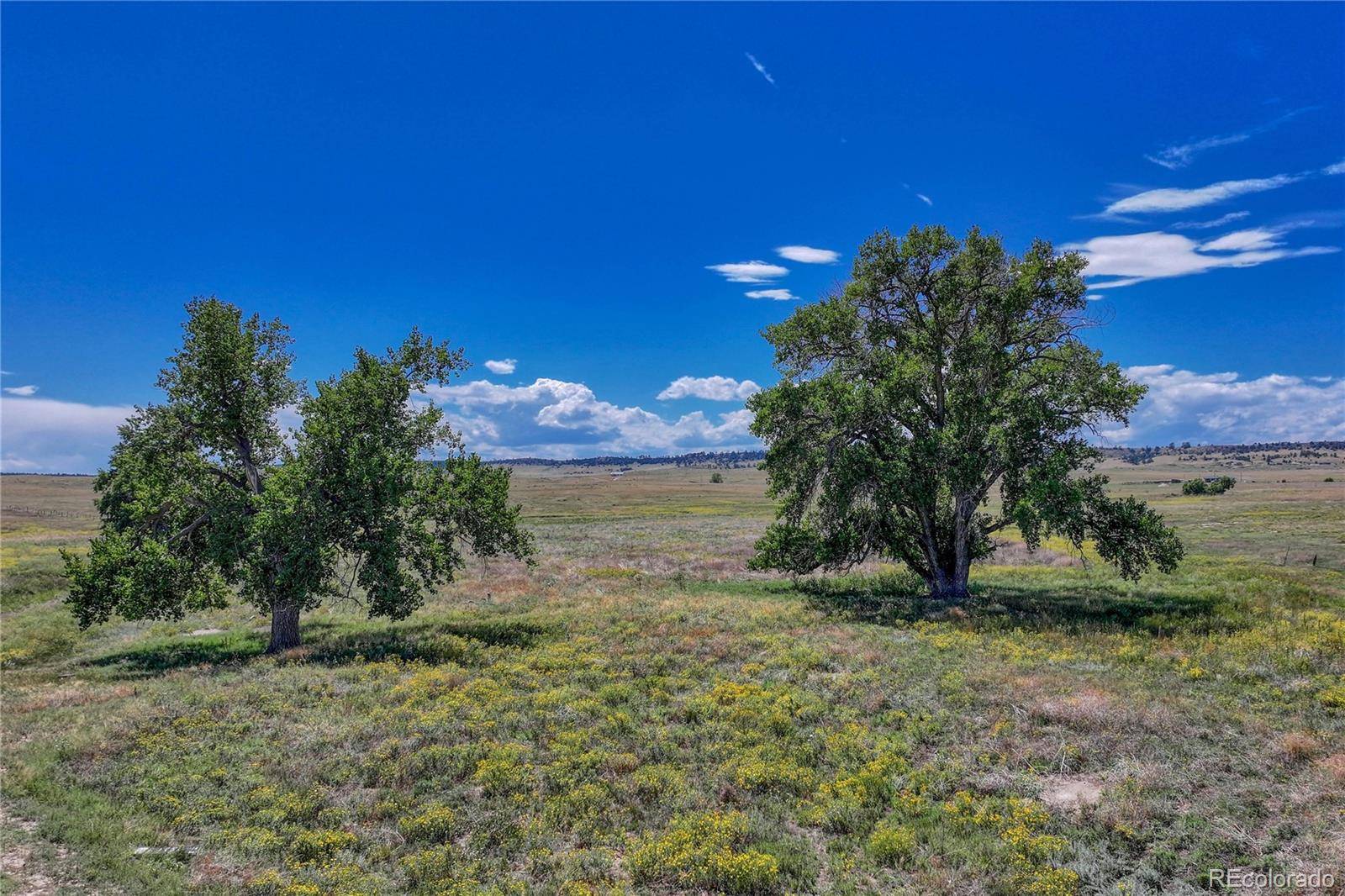 Kiowa, CO 80117,Fiddleback Ranch RD