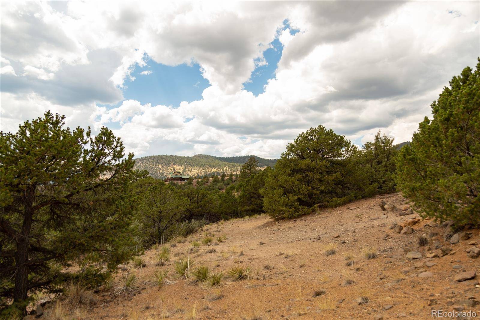 South Fork, CO 81154,3869 Bear Creek CIR