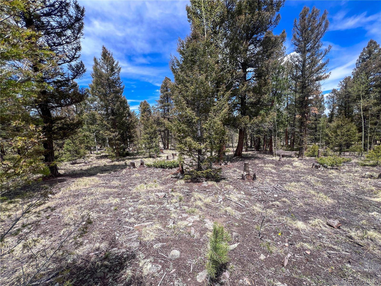 Hartsel, CO 80449,1980 Pitchfork RD