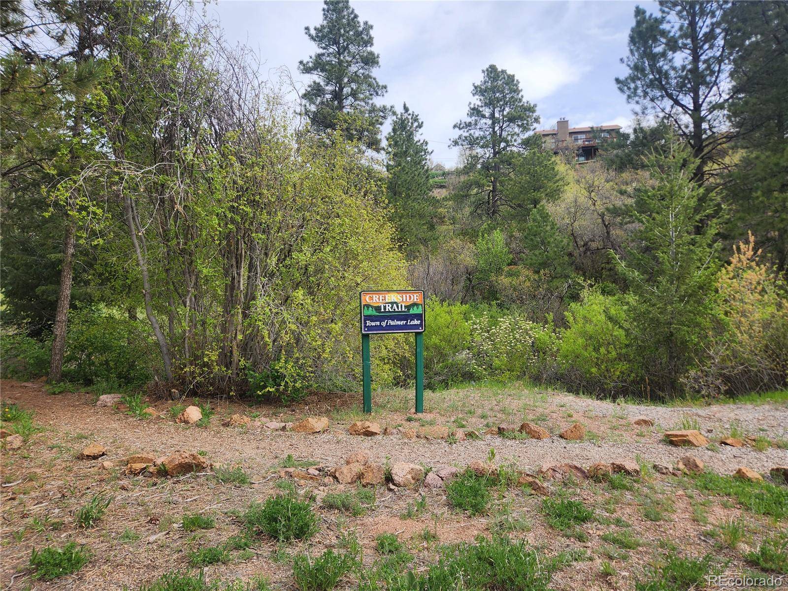 Palmer Lake, CO 80133,Buena Vista