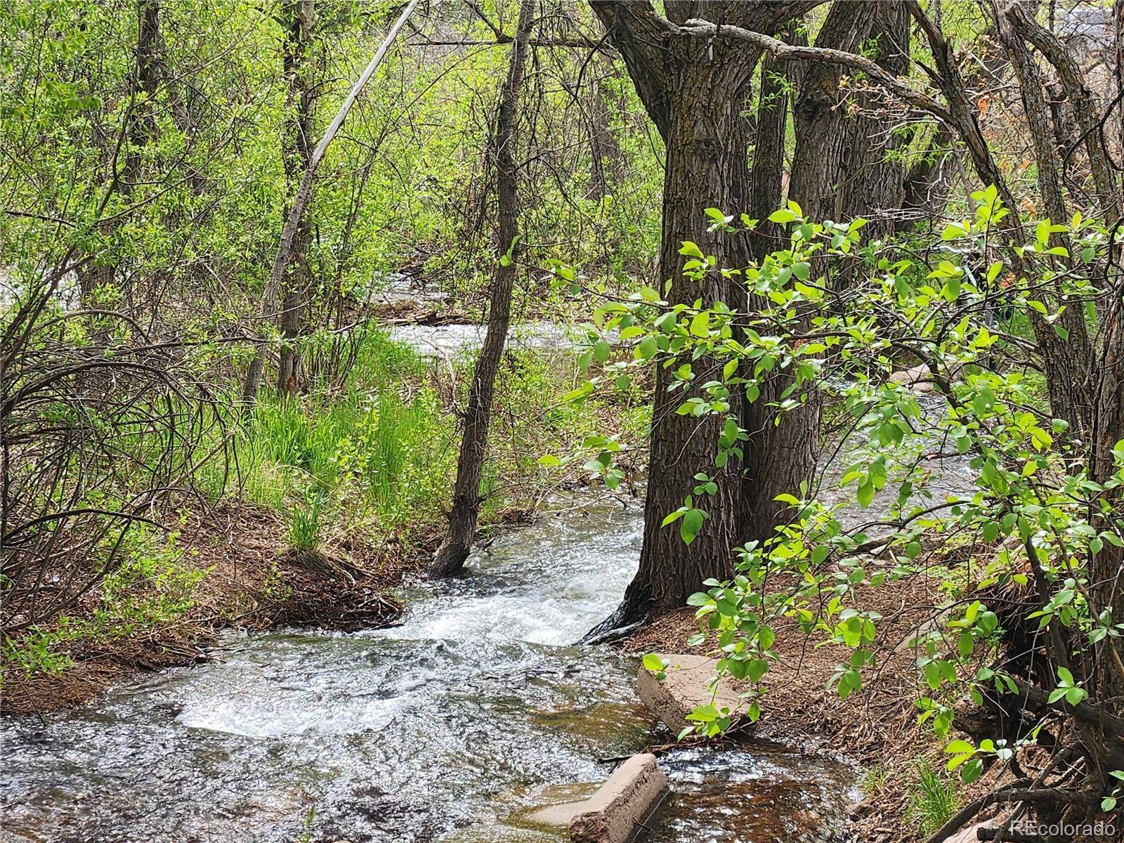 Palmer Lake, CO 80133,Buena Vista