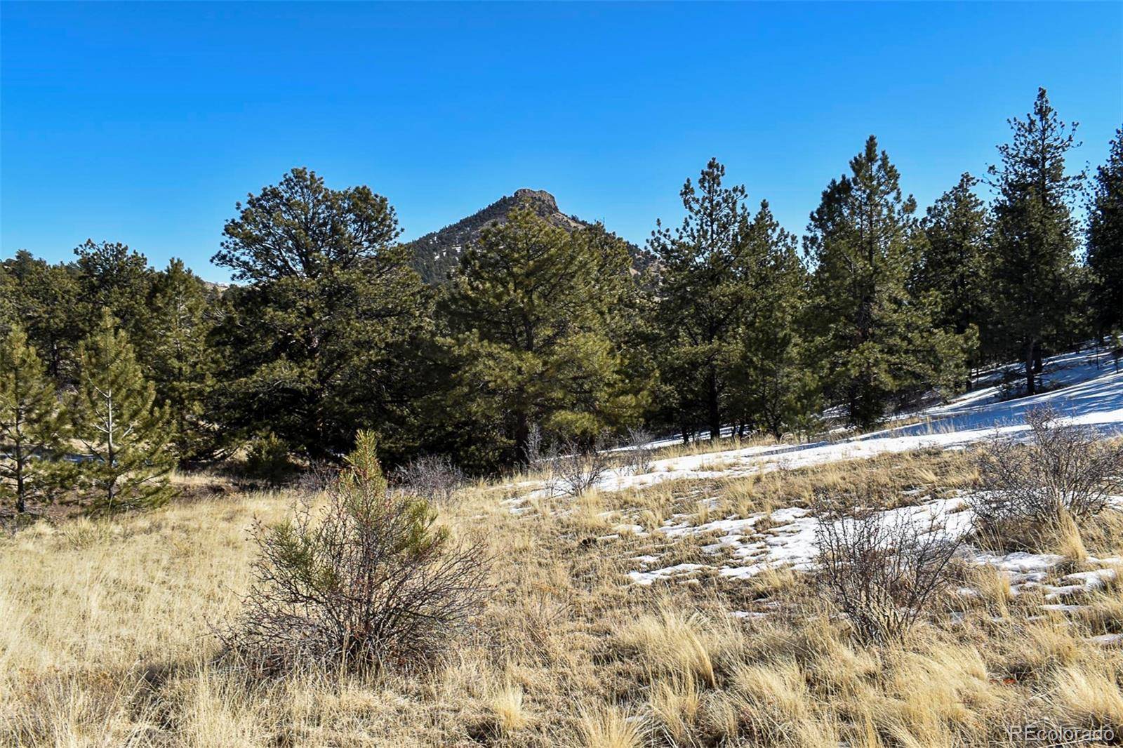 Guffey, CO 80820,30 Wagon Wheel CIR