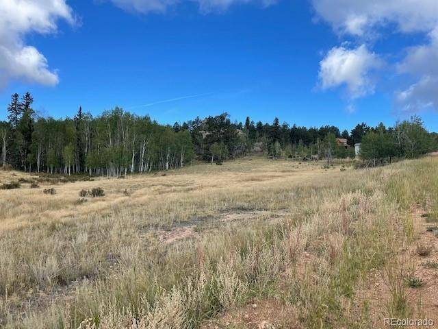 Florissant, CO 80816,34 Buckskin LN