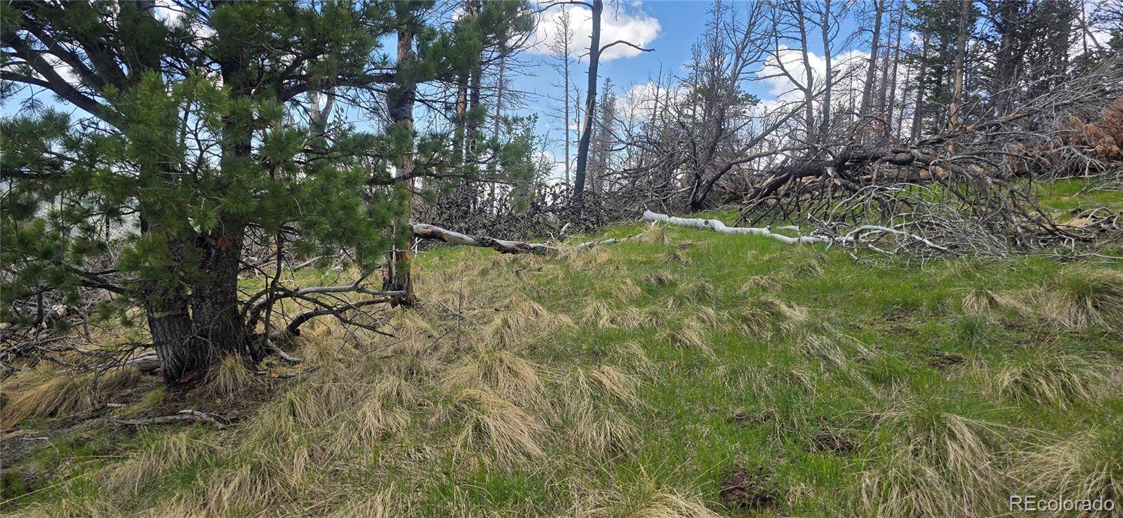 Fort Garland, CO 81133,Lot 2732 Grojean DR
