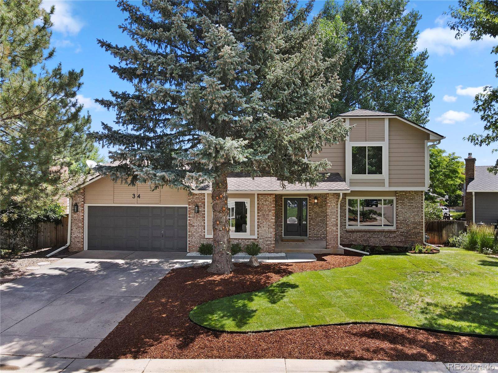 Littleton, CO 80127,34 Honey Locust