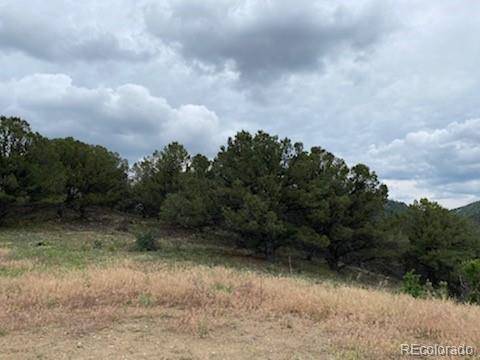 Canon City, CO 81212,Lot 17 S Dunn DR