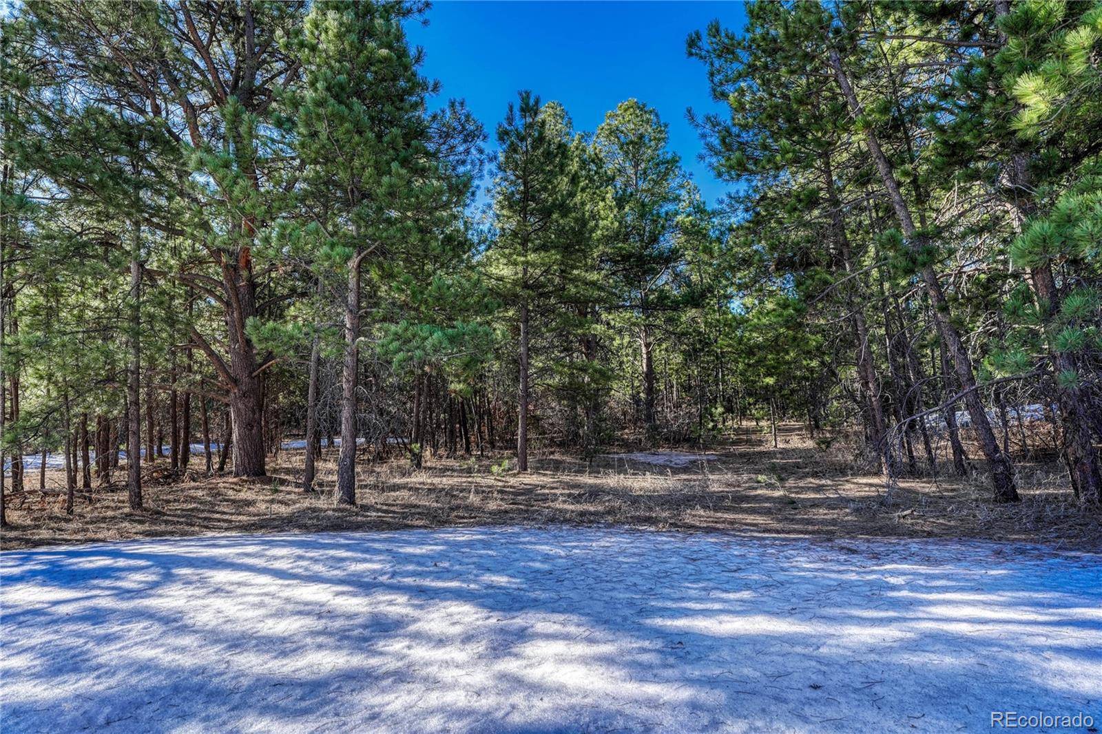 Monument, CO 80132,19953 Vista Clara LN