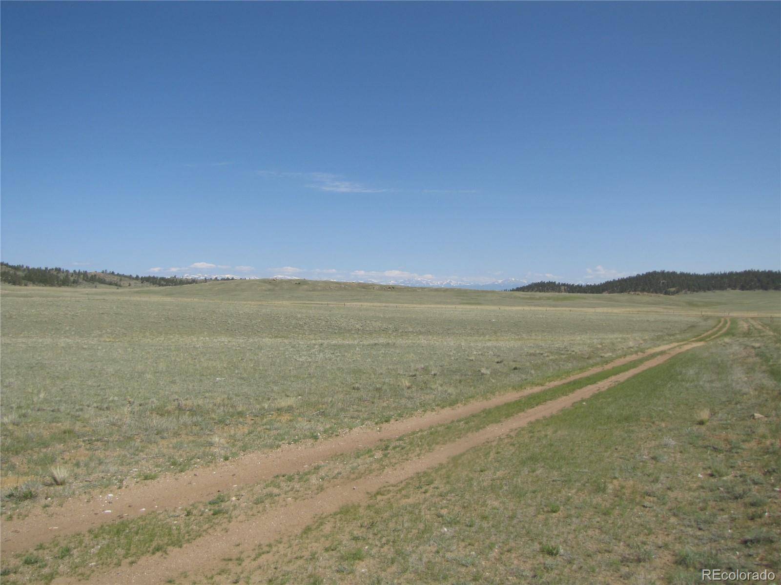 Hartsel, CO 80449,289 Cochiti RD