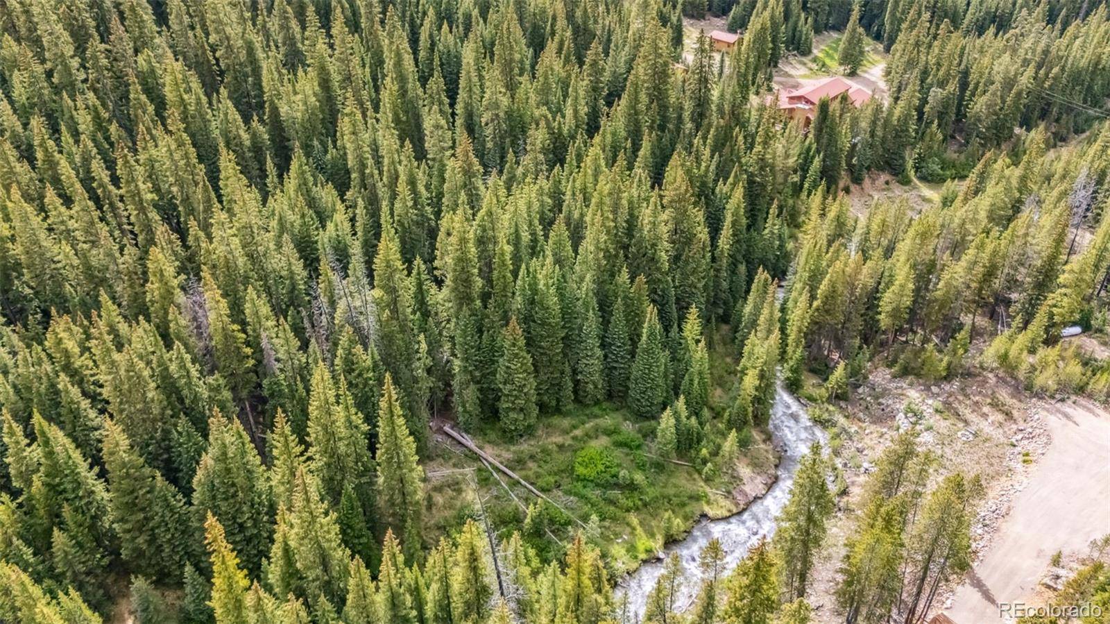 Montezuma, CO 80435,5080 Montezuma RD
