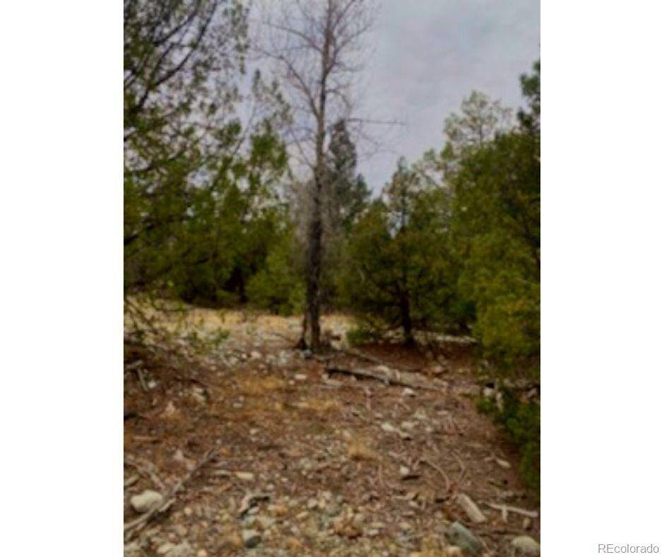 Mosca, CO 81146,Pawnee CT