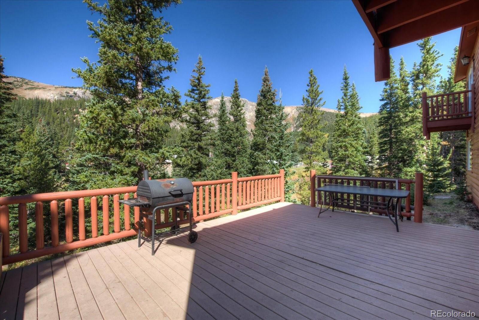 Idaho Springs, CO 80452,733 Brook DR