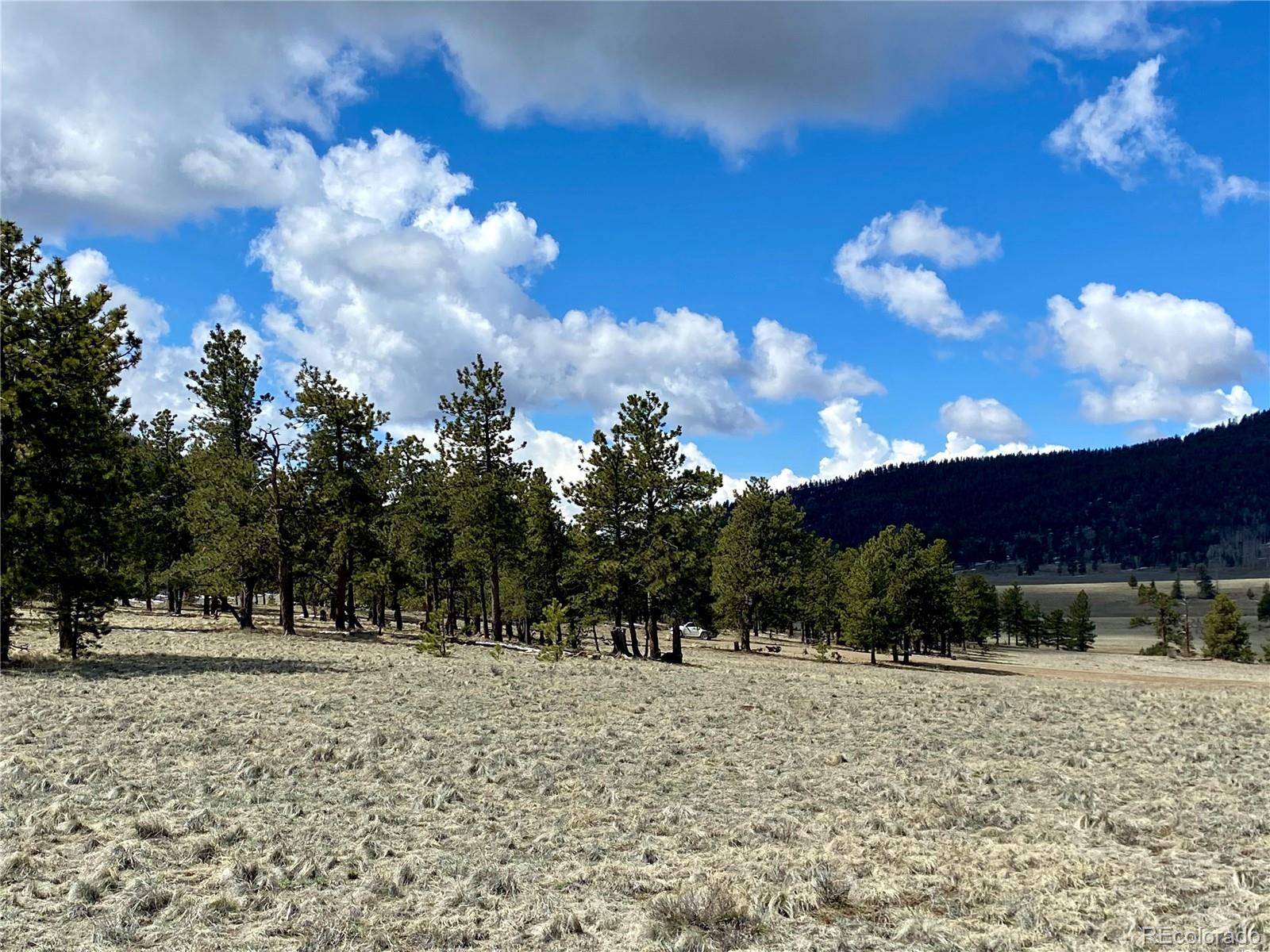 Buena Vista, CO 81211,0 Oahu RD