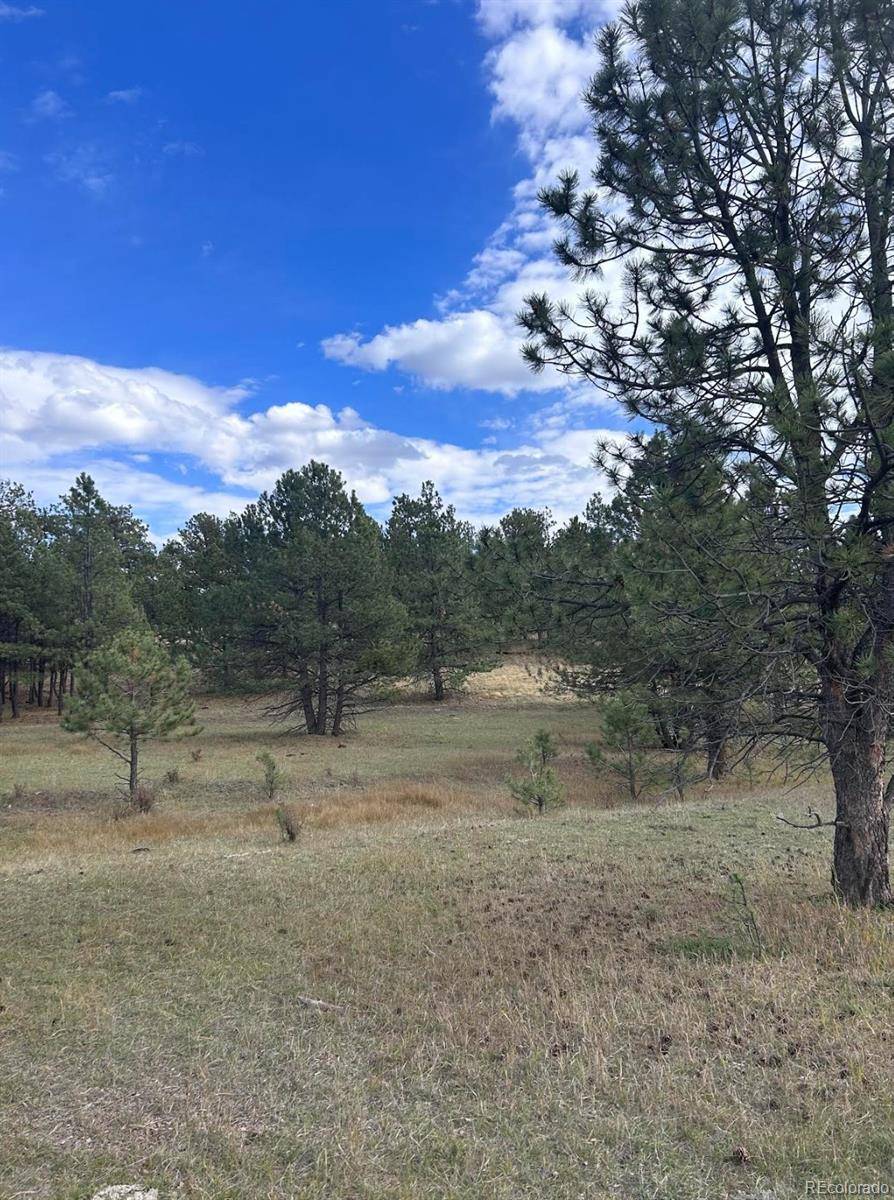 Florissant, CO 80816,382 Arrowhead DR