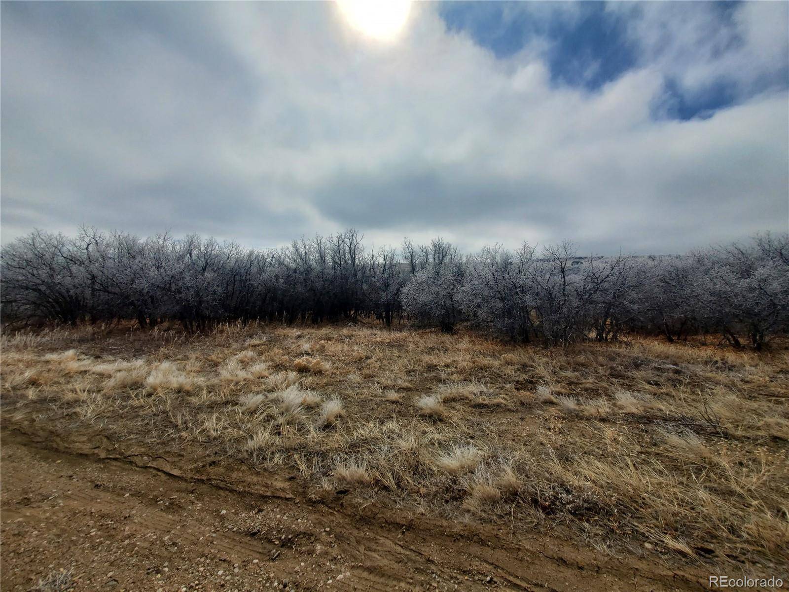 Colorado City, CO 81069,Thacker RD