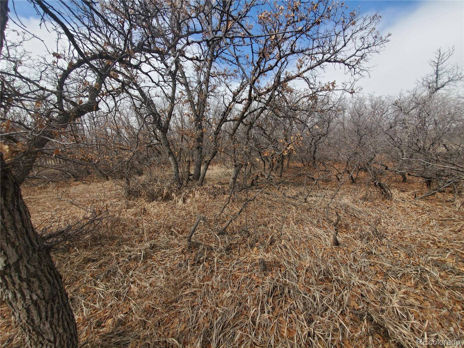 Colorado City, CO 81069,Thacker RD
