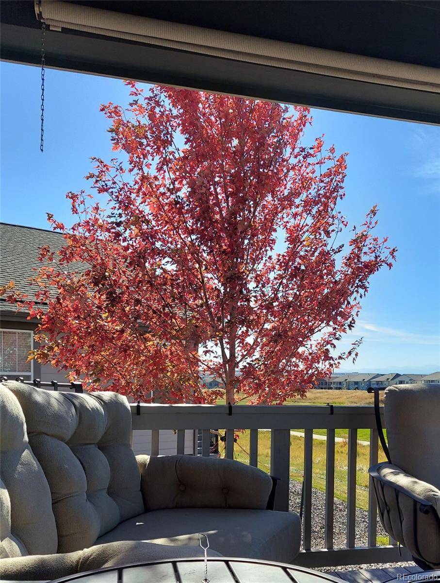 Thornton, CO 80602,15767 Willow WAY