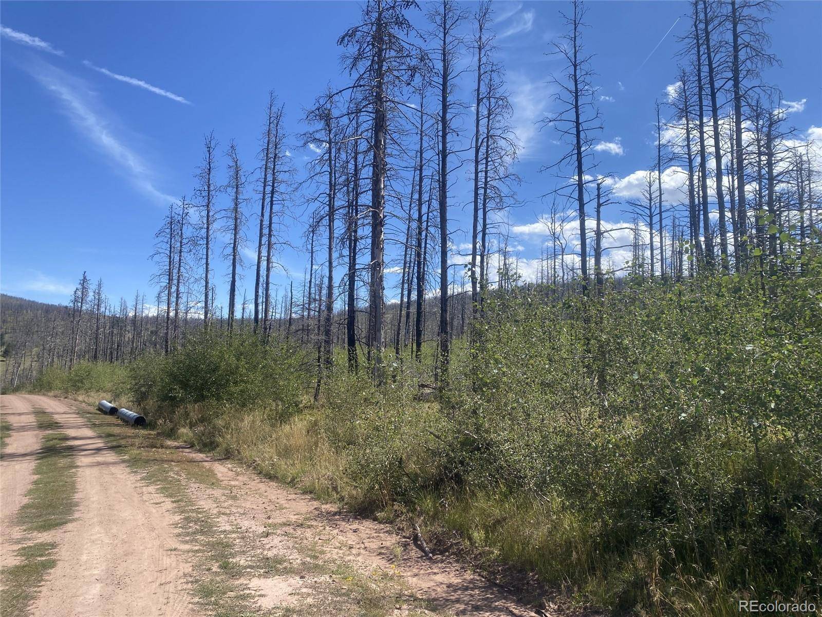 Fort Garland, CO 81133,1637 Cary LN